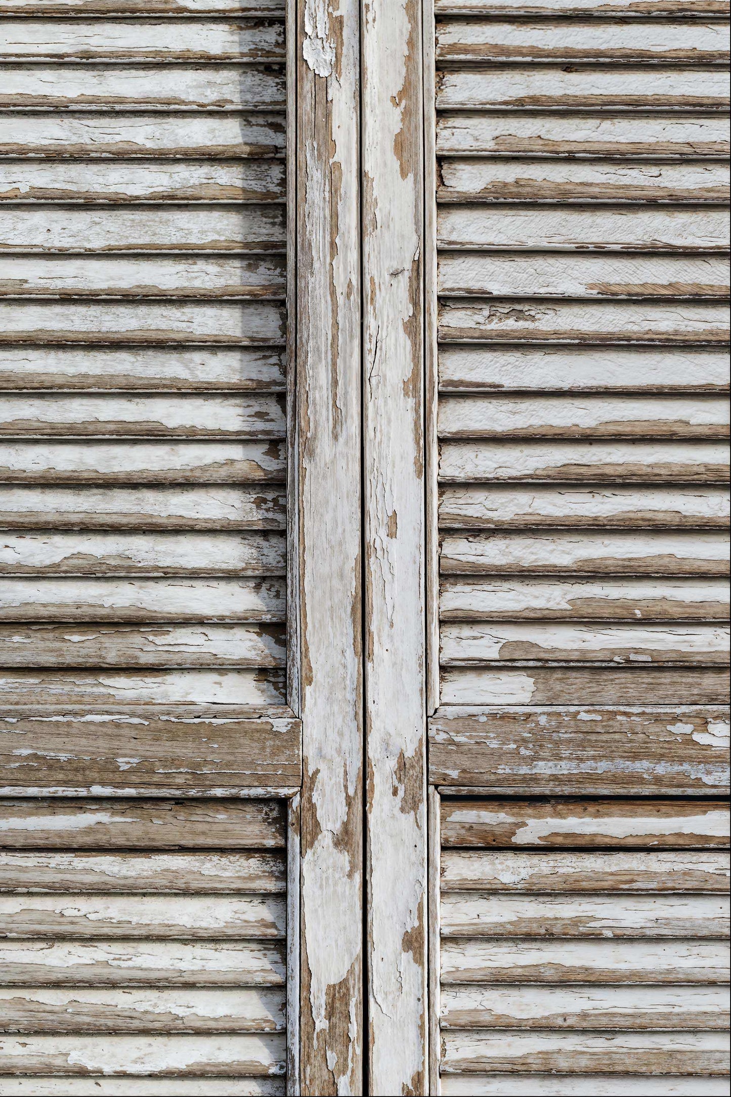 Shuttered Memories backdrop with distressed wood and peeling paint.