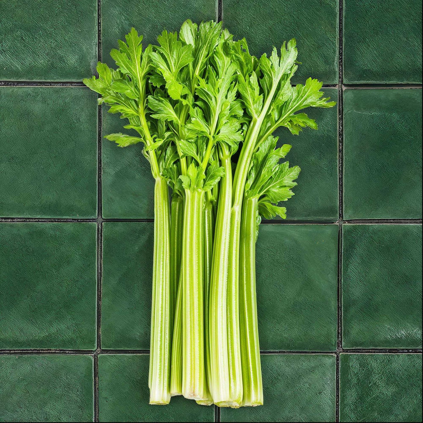 Vintage Verde green tile backdrop with celery stalks.