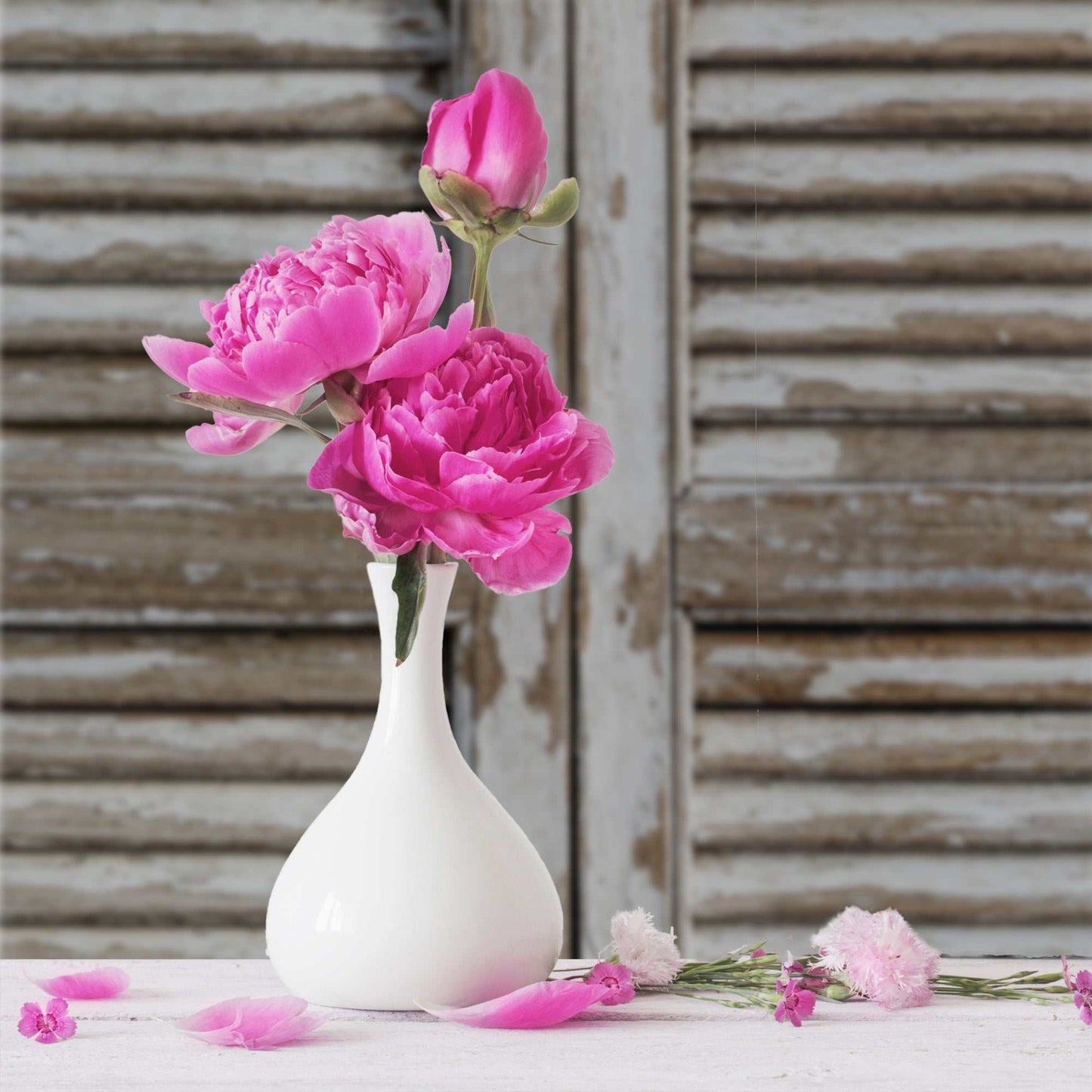 Distressed wood backdrop with peeling paint and vase of pink flowers, titled "Shuttered Memories."
