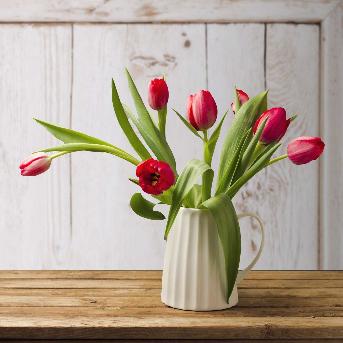 Distressed rustic white door backdrop with natural wood grain and peeling paint, complemented by red tulips in a white jug on a wooden table.