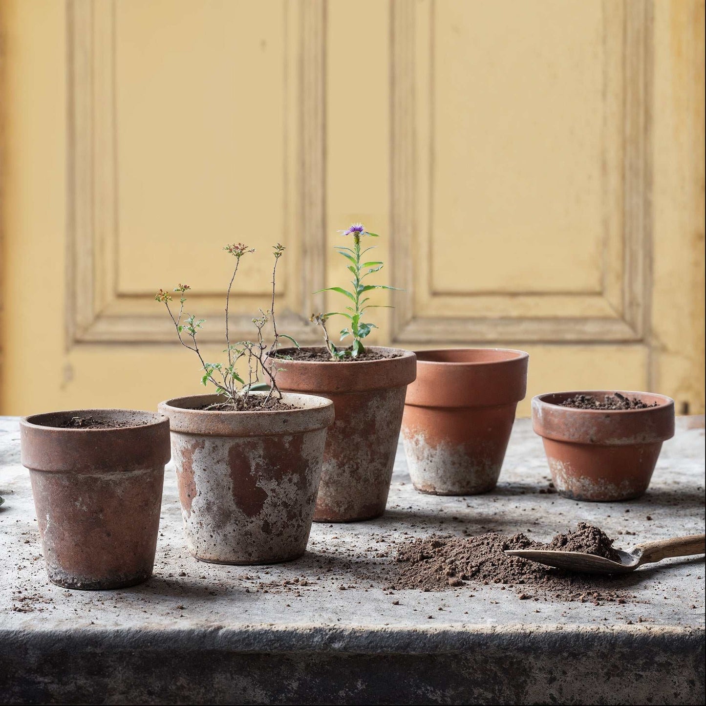 Goldenrod Door backdrop with vintage yellow tones and distressed texture, ideal for rustic-themed photography.