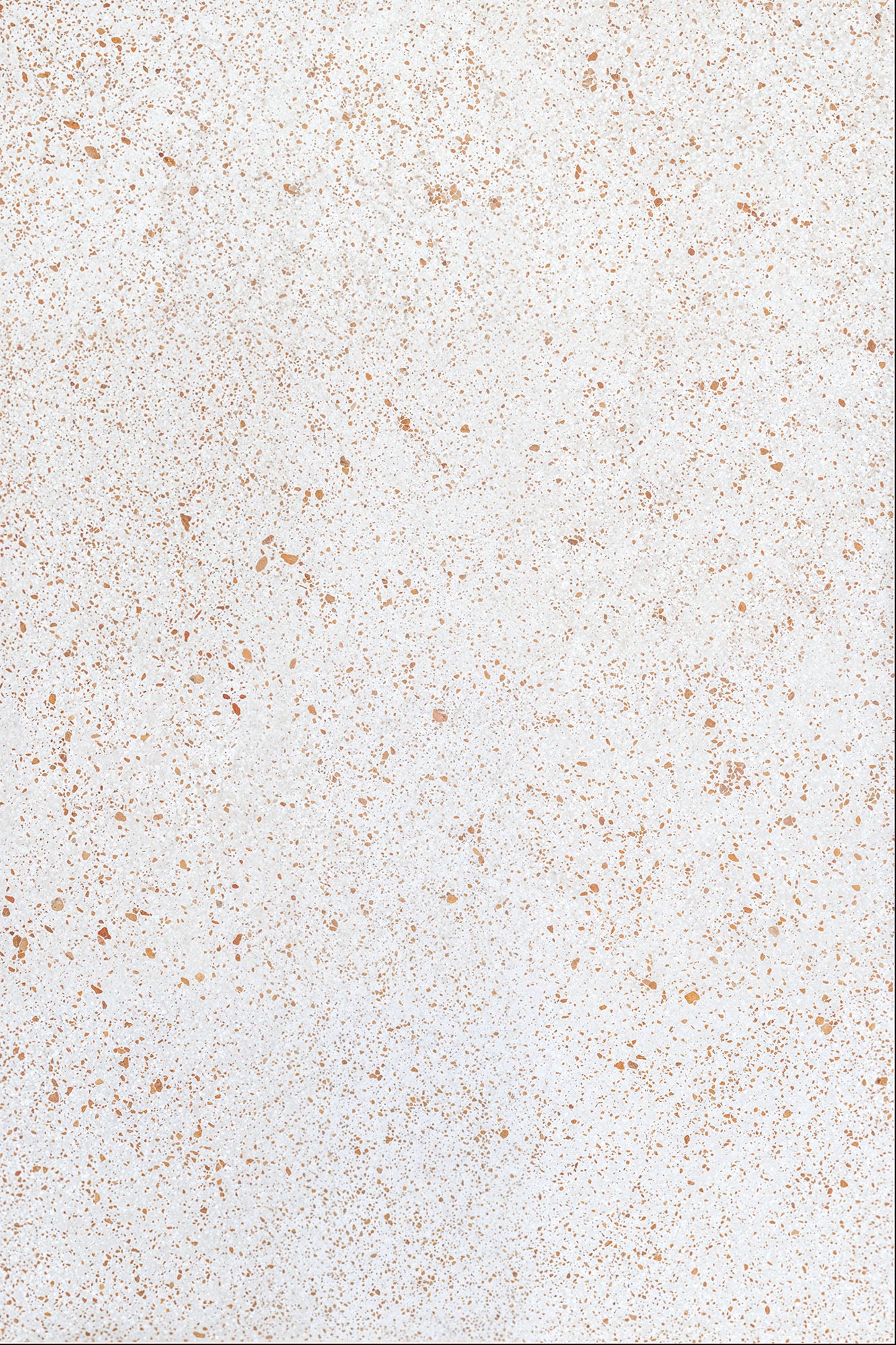 Warm Terrazzo