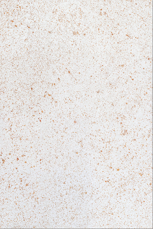 Warm Terrazzo