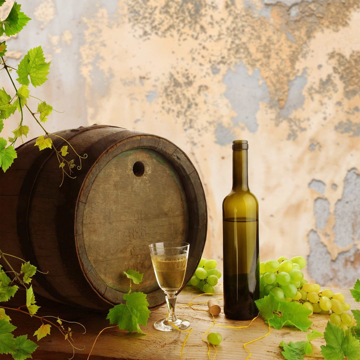 Vintage stucco backdrop with wine barrel, glass, and bottle, featuring grapes and leafy vines.